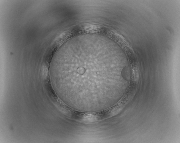 X0000116570705200912101510