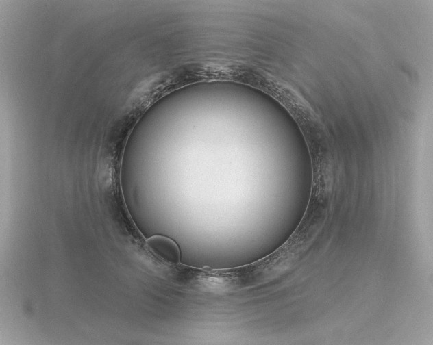 X0000116570706200912101510