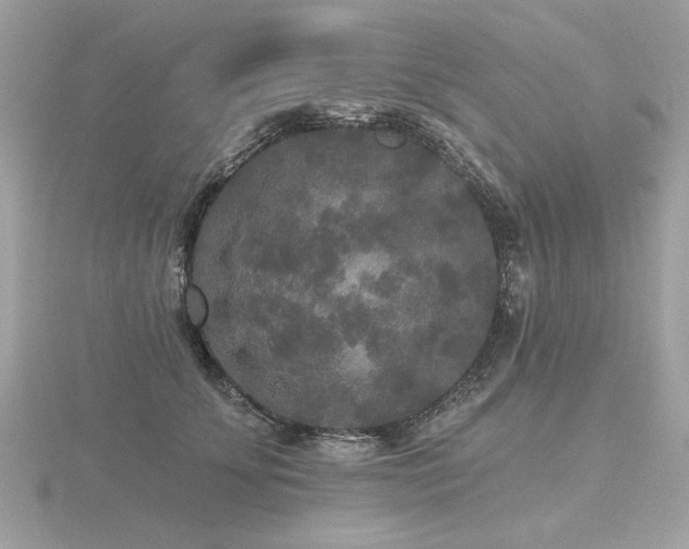 X0000116570707200912101510