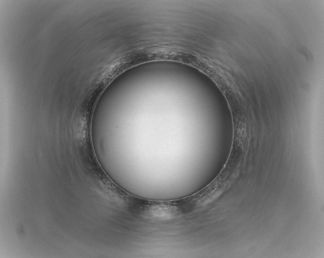 X0000116570708200912101510