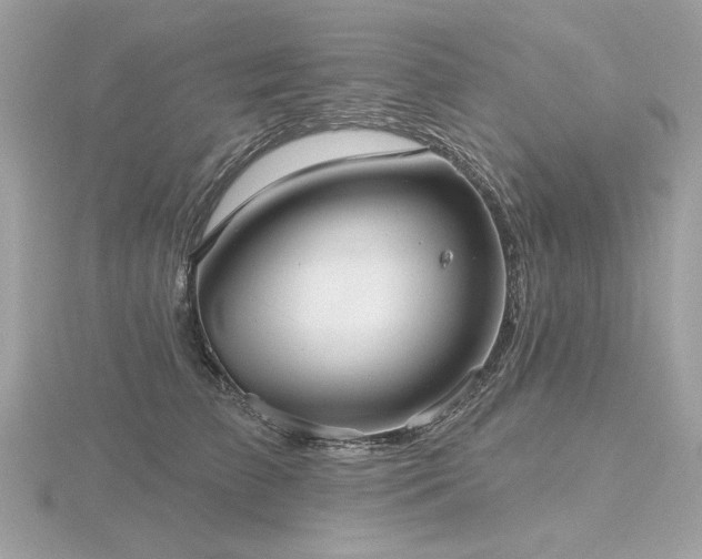 X0000116570709200912101510