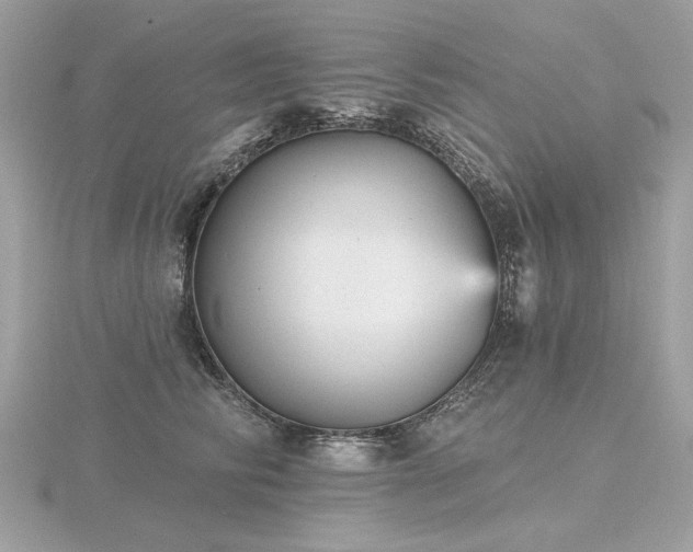 X0000116570710200912101510