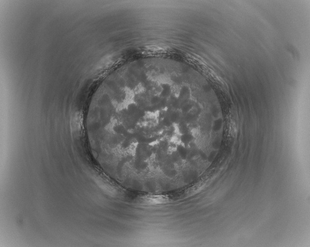 X0000116570711200912101510