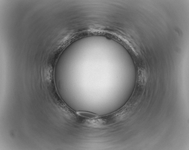 X0000116570712200912101510