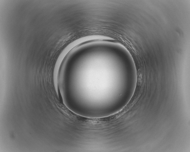 X0000116570713200912101510