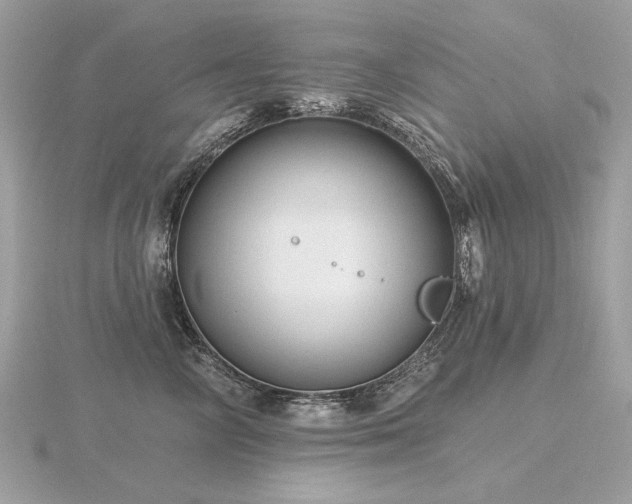 X0000116570714200912101510