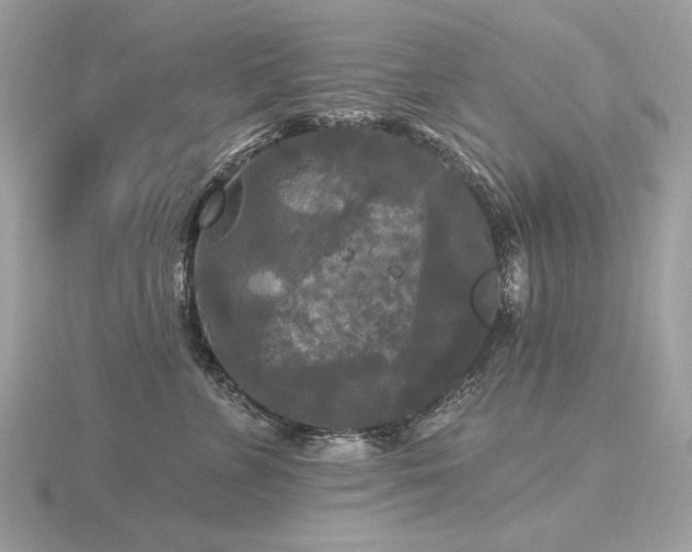 X0000116570715200912101510