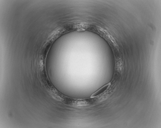 X0000116570716200912101510