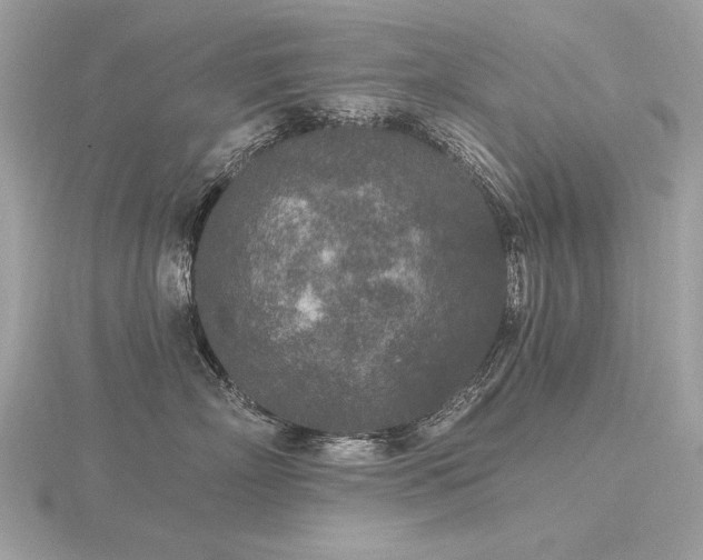 X0000116570718200912101510