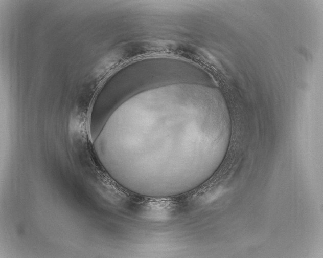 X0000116570720200912101510