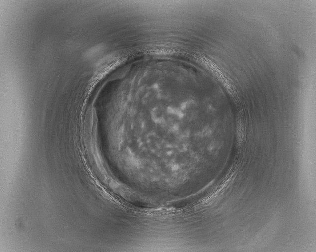 X0000116570721200912101510