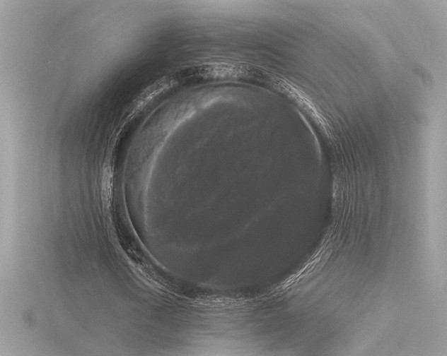 X0000116570722200912101510