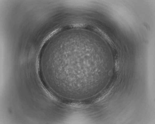 X0000116570725200912101510