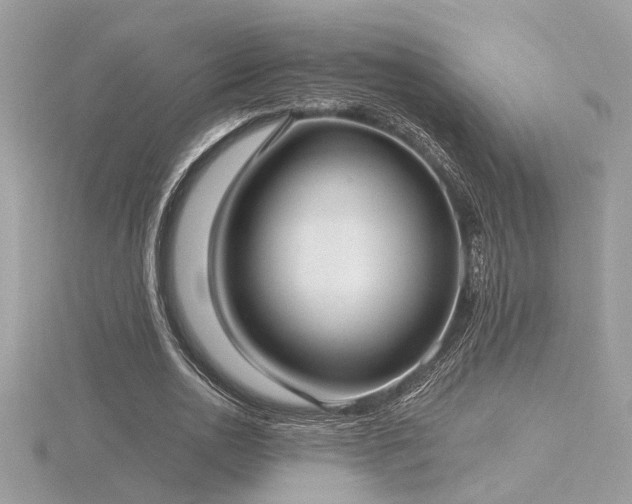 X0000116570726200912101510