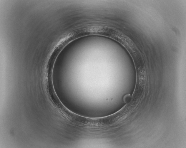 X0000116570727200912101510