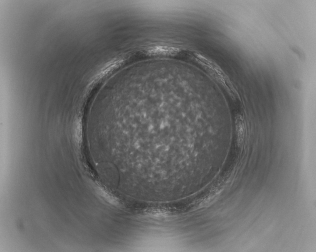 X0000116570729200912101510