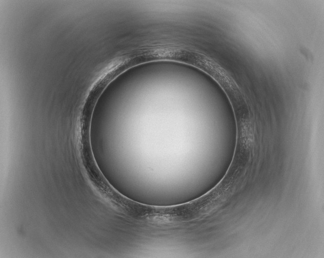 X0000116570730200912101510