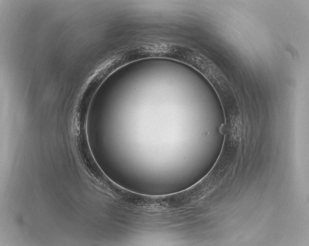 X0000116570731200912101510