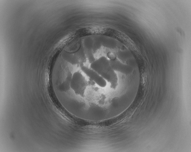 X0000116570733200912101510