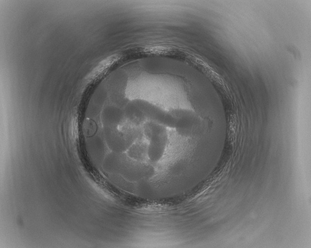 X0000116570734200912101510