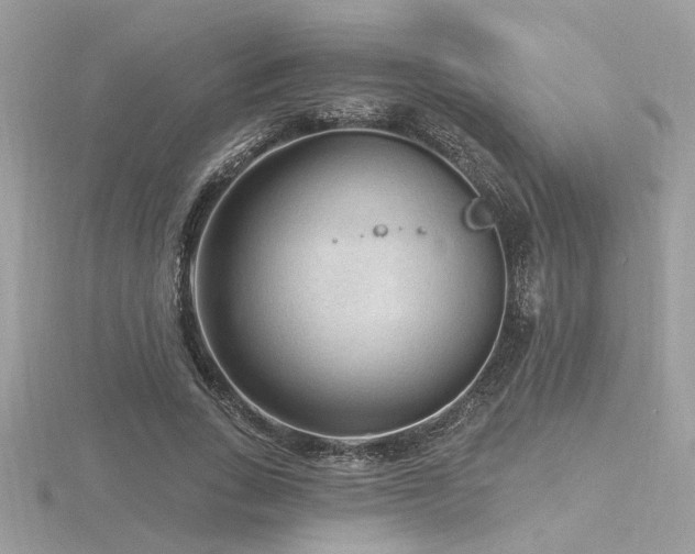 X0000116570735200912101510