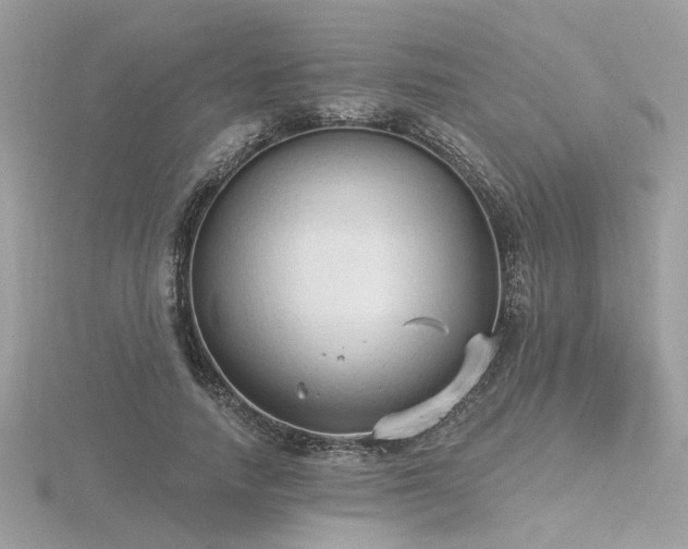 X0000116570738200912101510