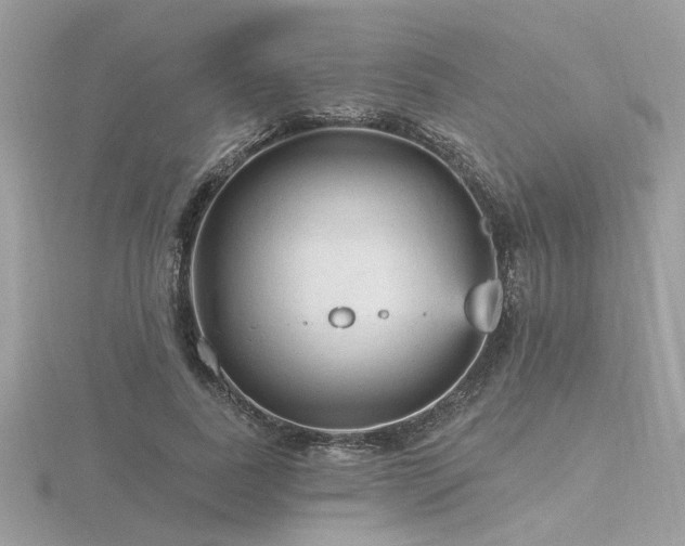 X0000116570739200912101510