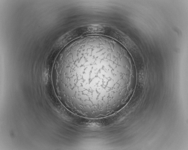 X0000116570741200912101510