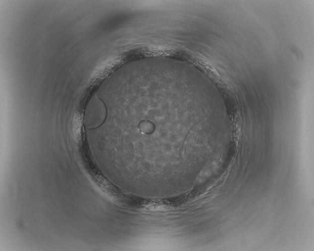 X0000116570742200912101510