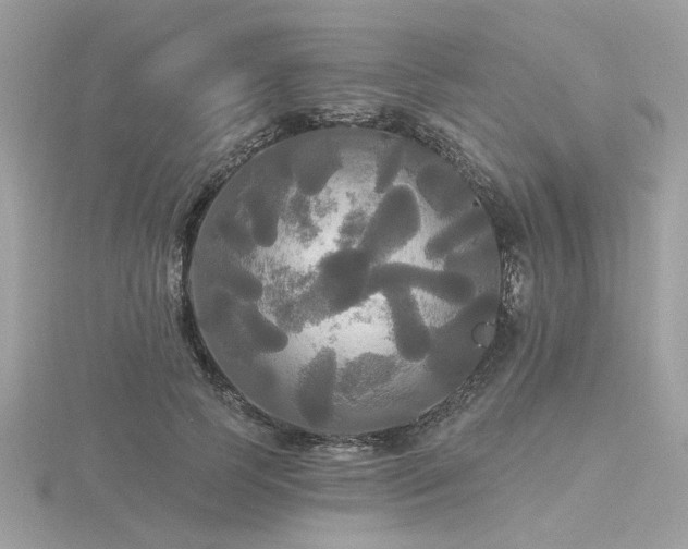 X0000116570745200912101510