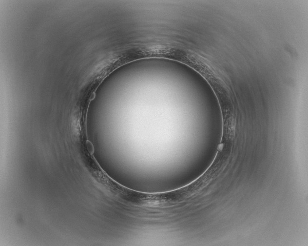 X0000116570746200912101510