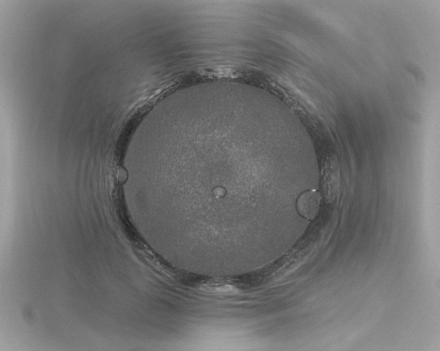 X0000116570747200912101510