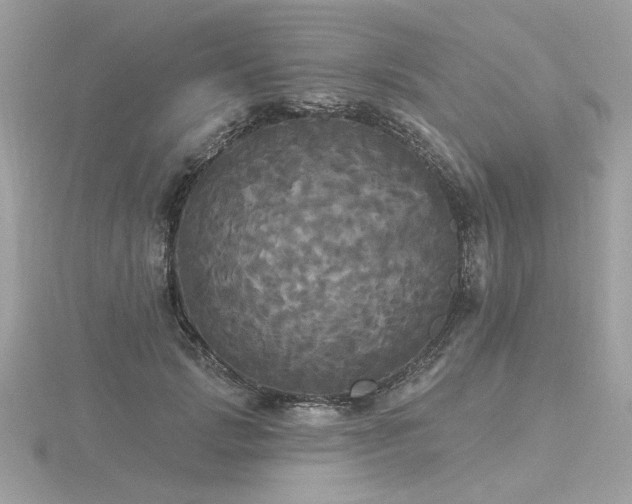 X0000116570749200912101510