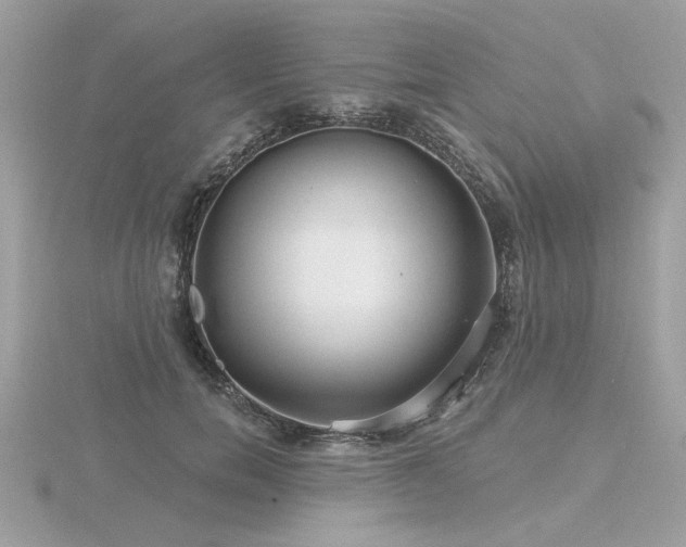 X0000116570750200912101510