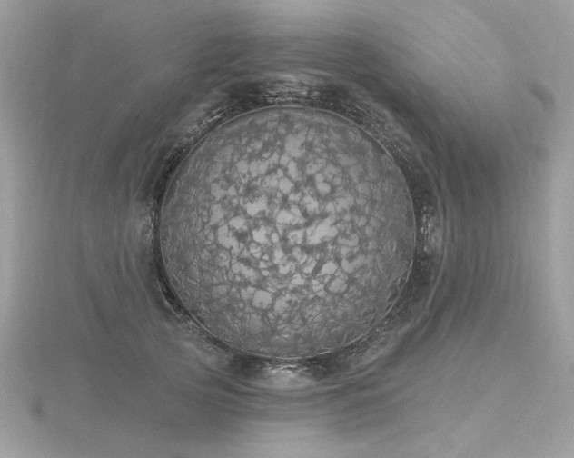 X0000116570753200912101510