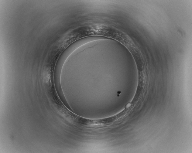 X0000116570754200912101510