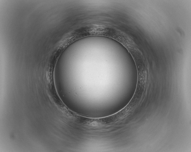 X0000116570755200912101510