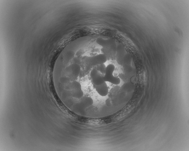 X0000116570757200912101510