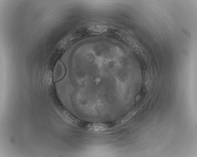 X0000116570758200912101510