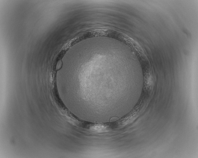 X0000116570759200912101510