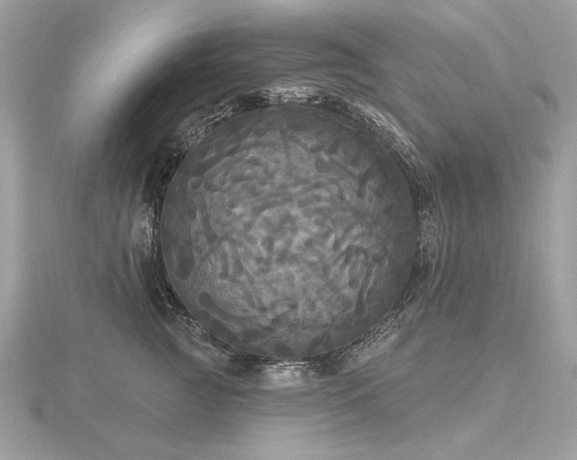 X0000116570761200912101510