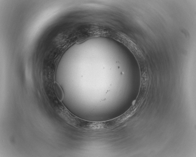 X0000116570762200912101510