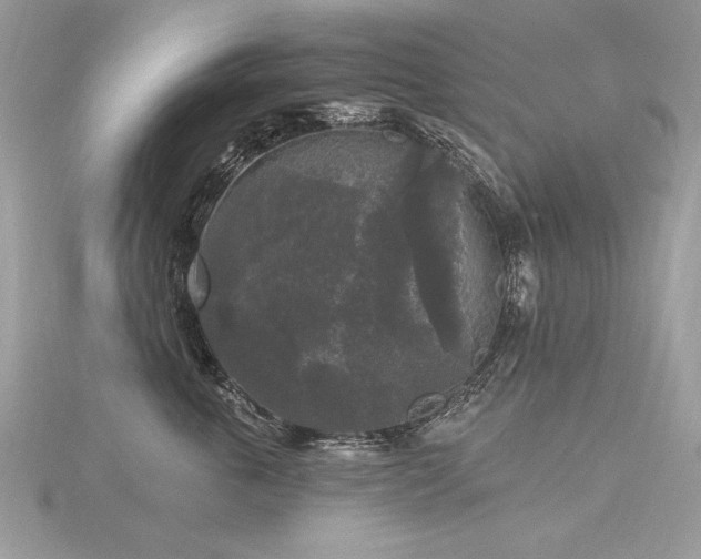 X0000116570763200912101510