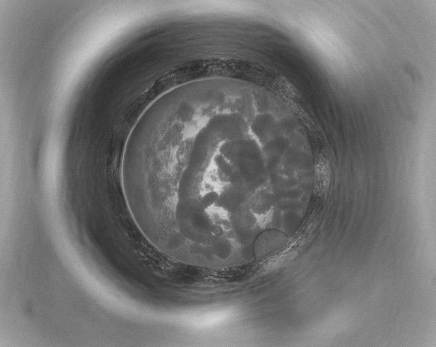 X0000116570765200912101510