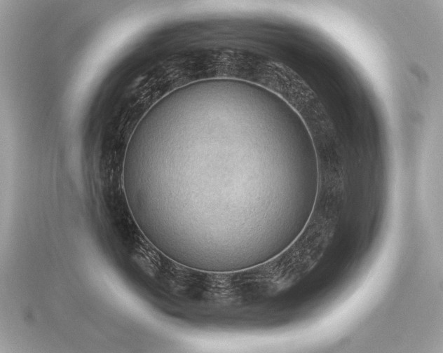 X0000116570766200912101510