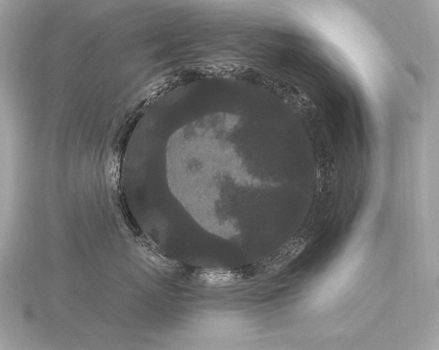 X0000116570767200912101510