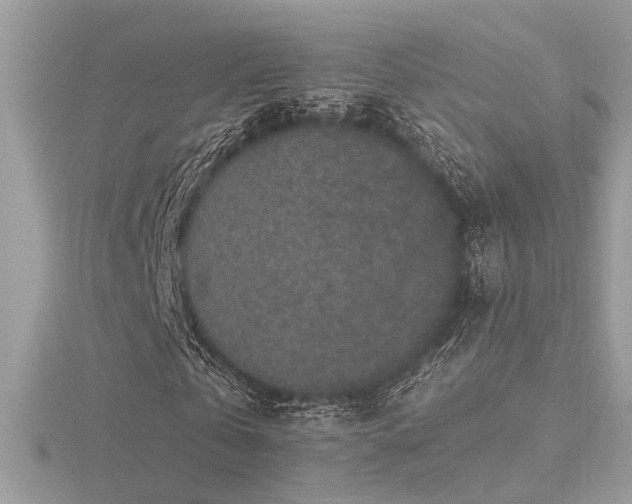 X0000116570769200912101510