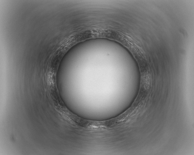 X0000116570770200912101510