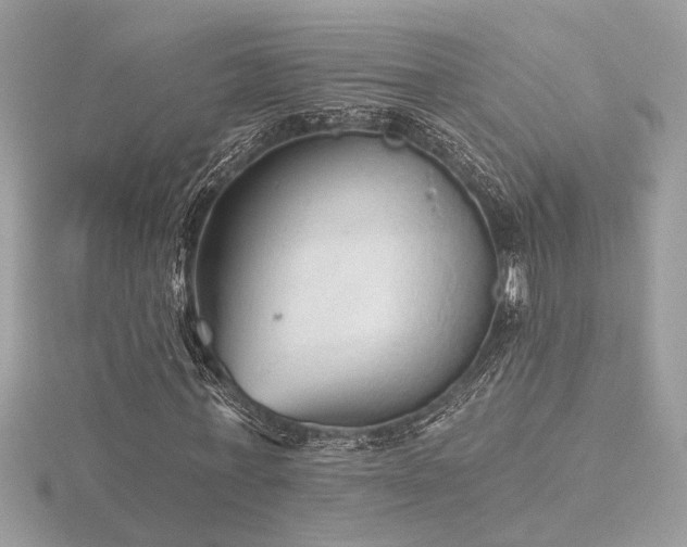 X0000116570771200912101510