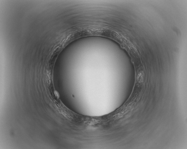 X0000116570772200912101509